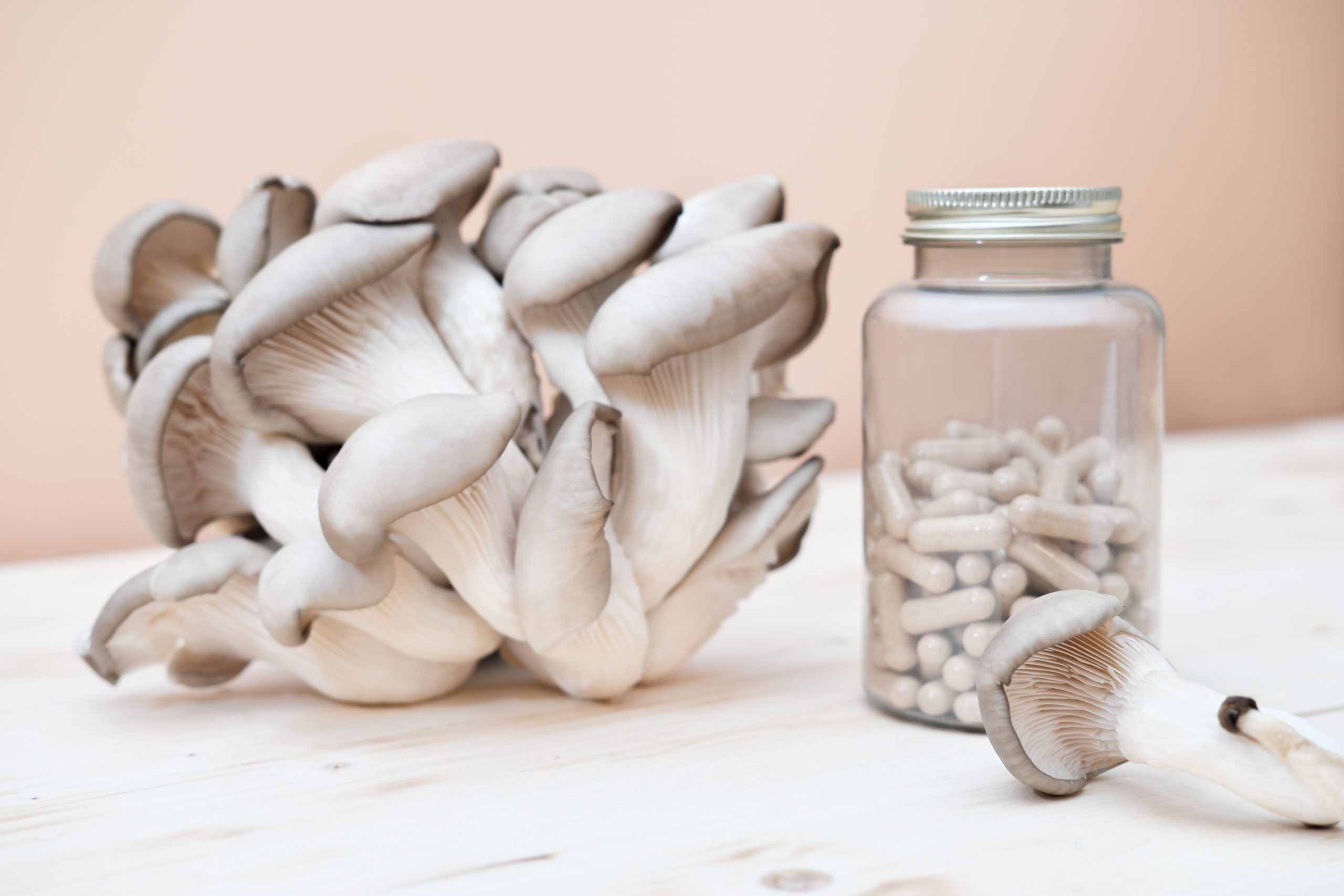 Where Can I Find the Best Mushroom Supplements? Art Eats Bakery